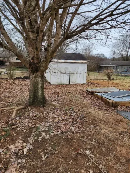 a white shed is sitting in the middle of a yard next to a tree .