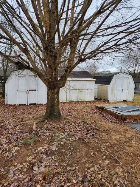 Three white sheds under a tree in a yard