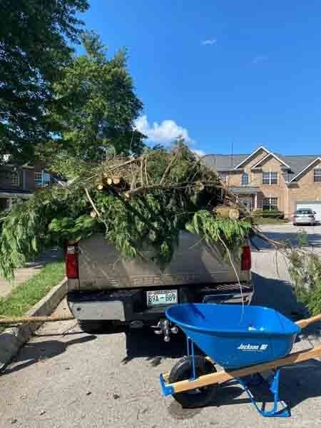Pickup truck hauling yard debris with a blue wheelbarrow in front on a suburban street