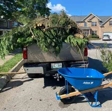 junk and debris removal