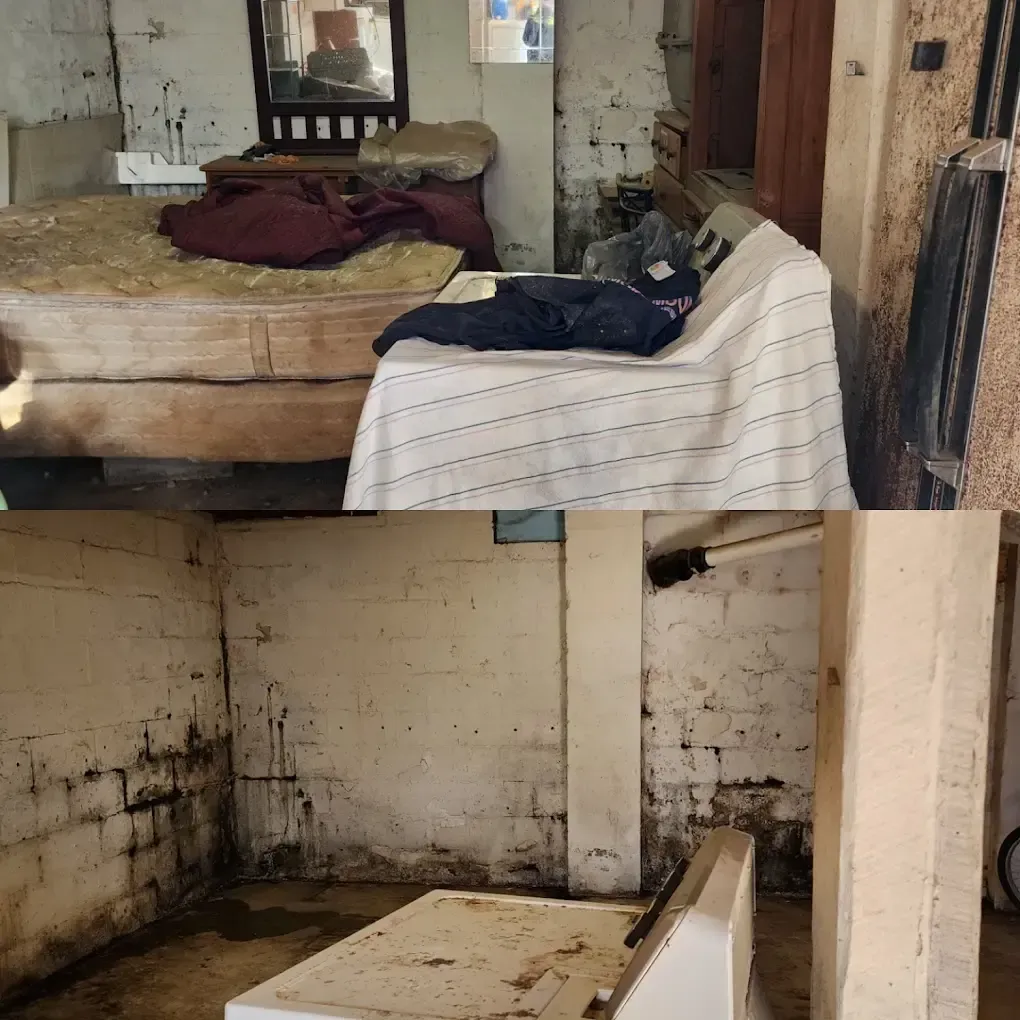 before and after basement junk removal in knoxville tn