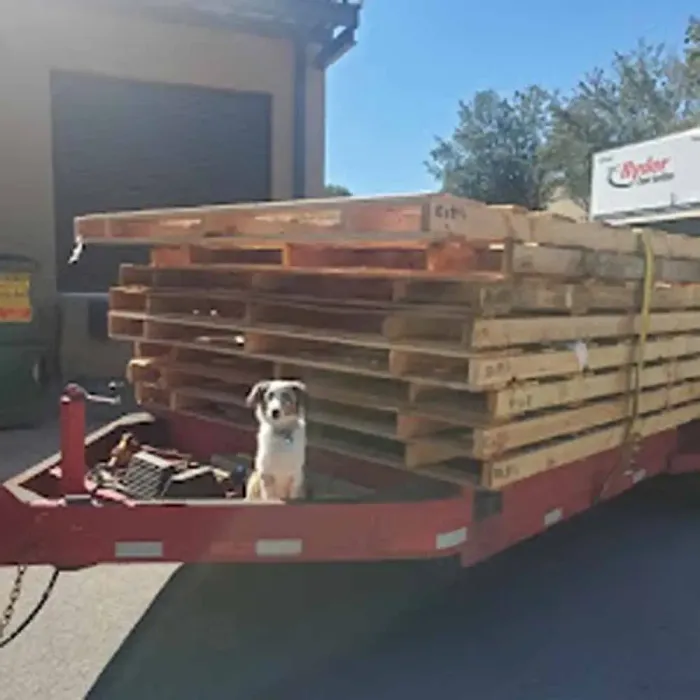 Reliable Junk Removal Services by Experts in Knoxville, TN
