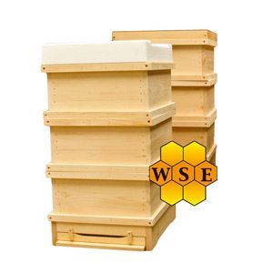 Holzbeute