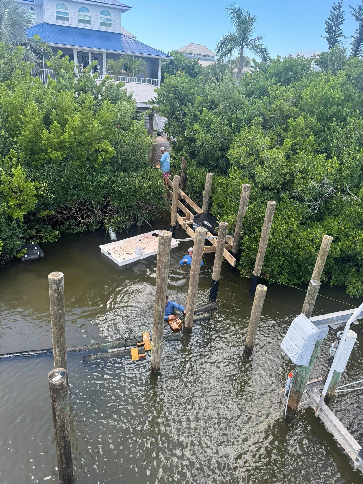 Person on a rope swing over water near mangroves and a dock, with a building in the background