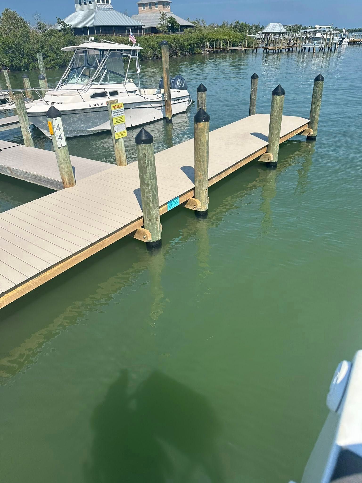 Dock extending over green water with boats and waterfront houses in the background