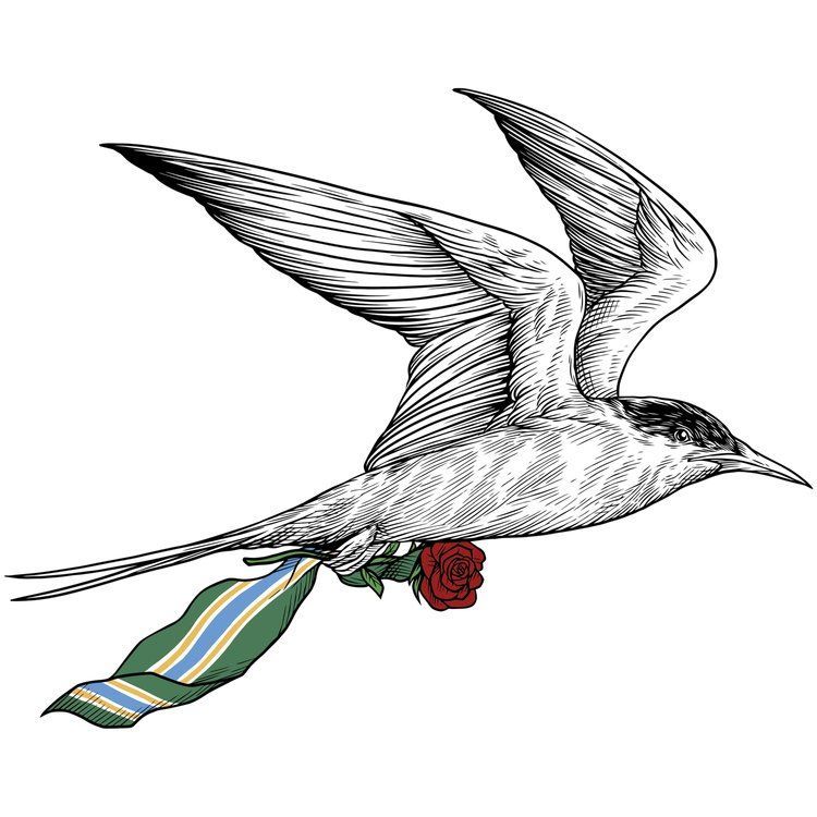 A bird is flying with a rose in its beak