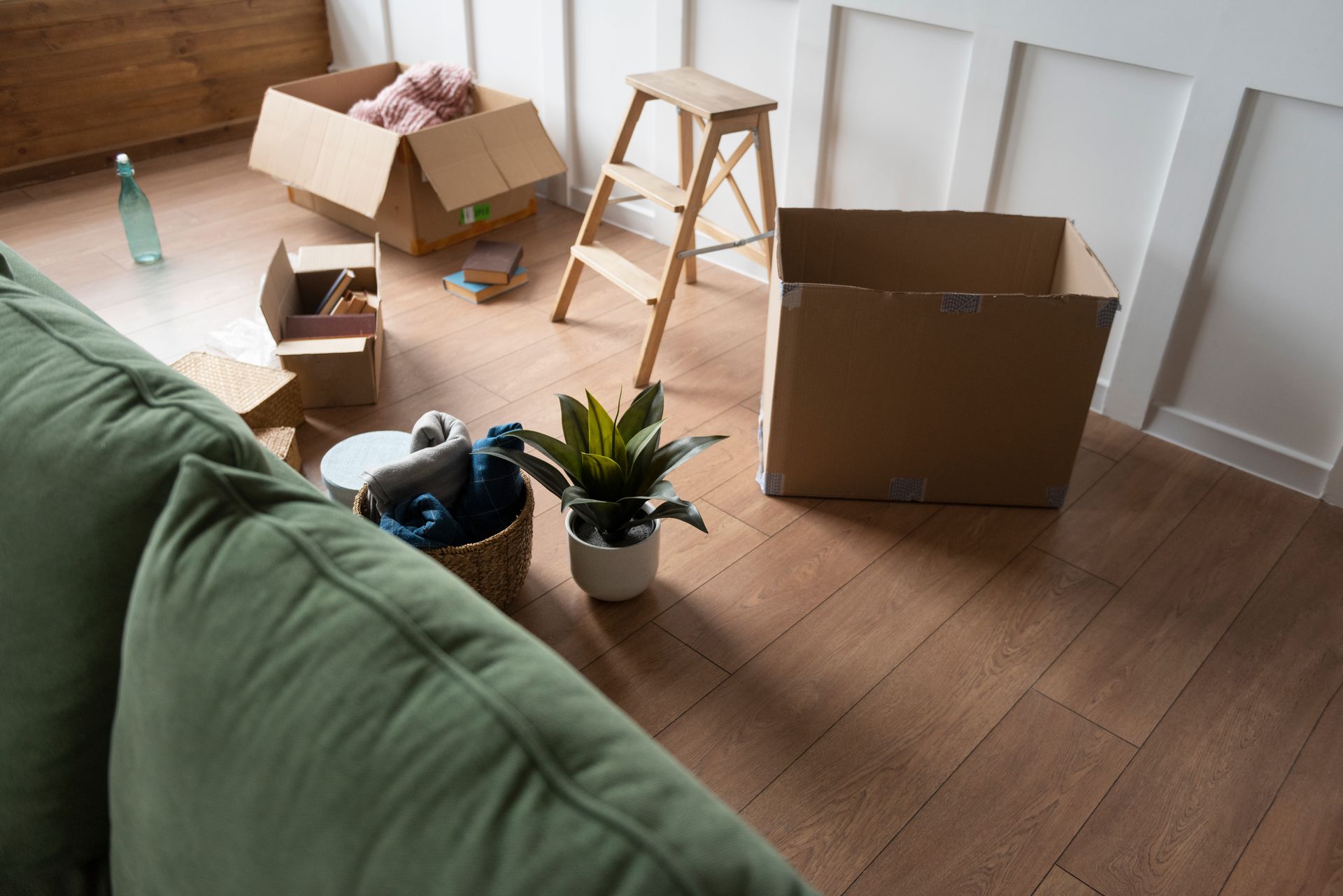 Living room with moving boxes, a step stool, and a potted plant on wood floor.