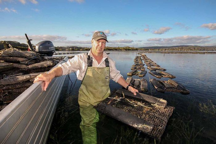 Stirling Oysters - Farmer Stirling Cullenward