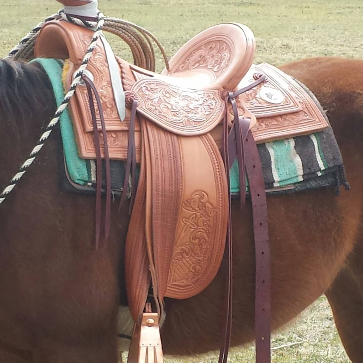 Brown horse wearing a tan western saddle with decorative blanket and straps