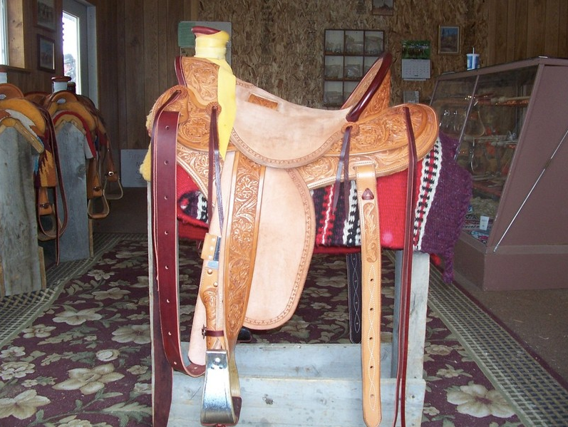 Saddled horse in a tack room, with leather straps and red saddle blanket.