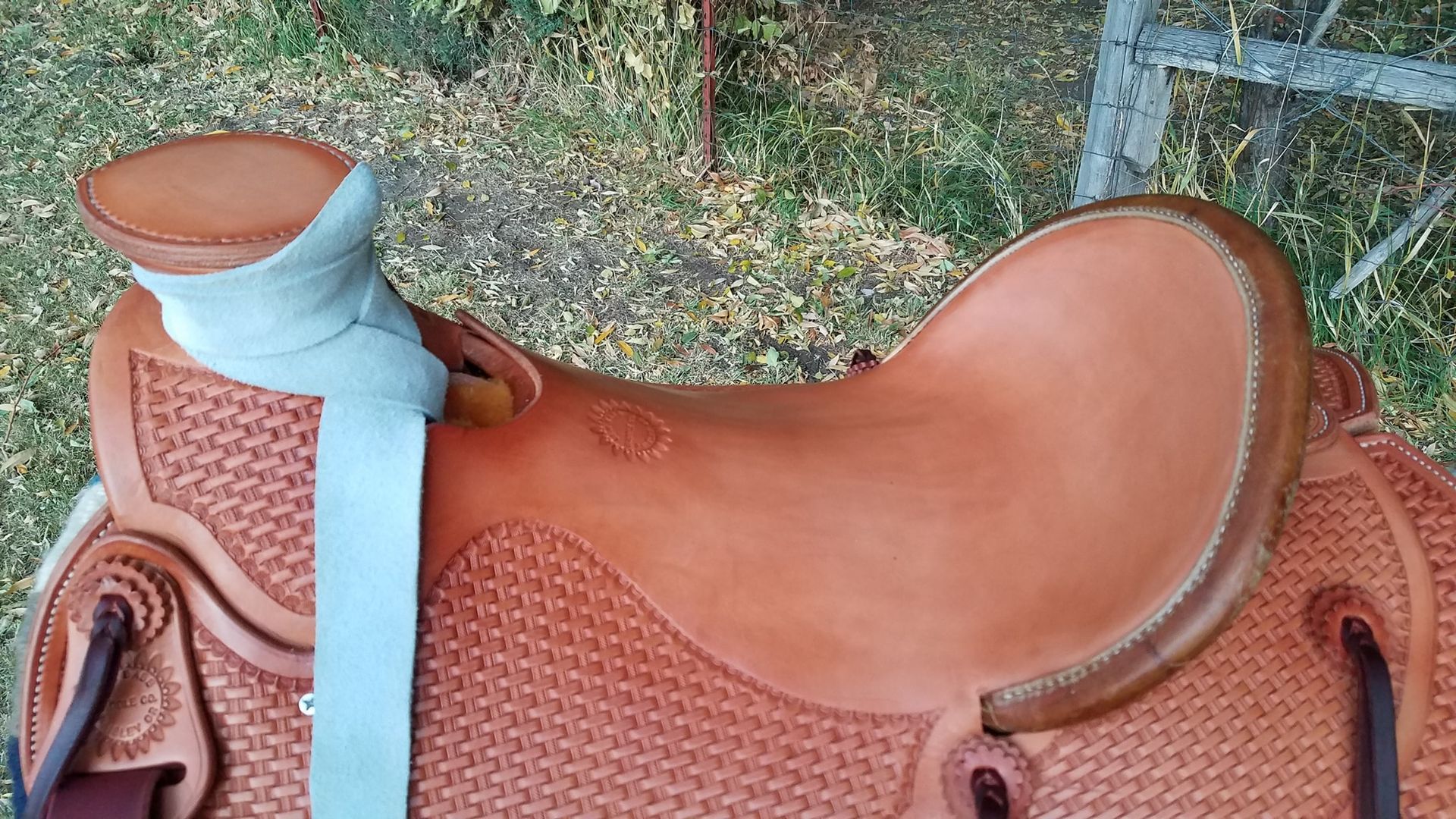 Brown leather saddle with a blue strap on a horse, shown in an outdoor setting