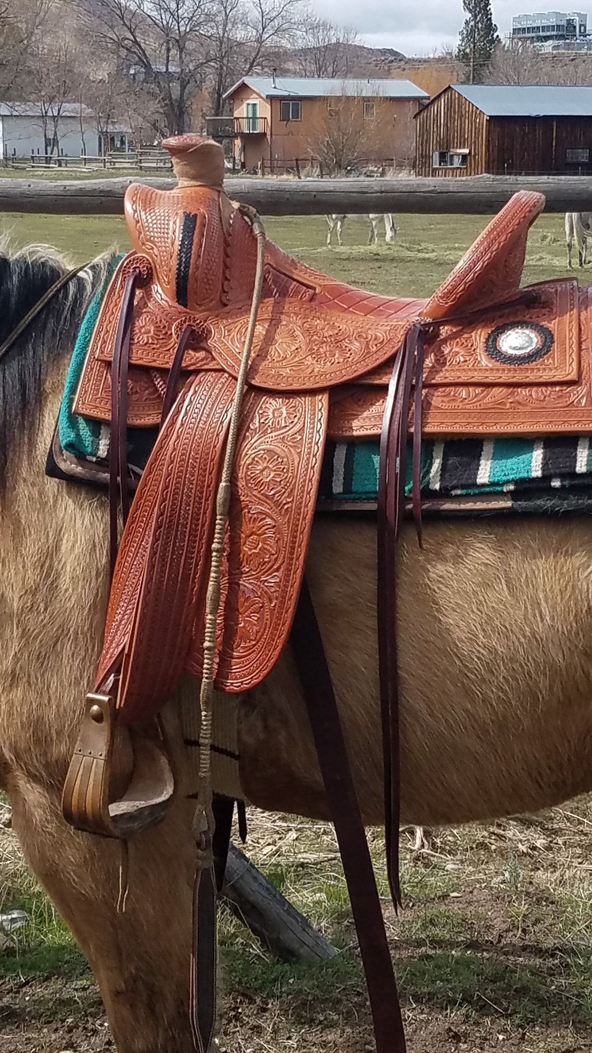 Brown horse wearing a saddle with a rust-colored blanket, standing outdoors in a yard.
