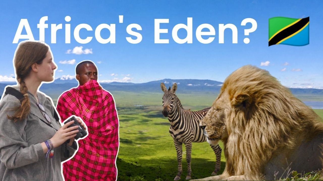 YouTube video about a safari in the Ngorongoro Crater. Also includes the wider Ngorongoro Conservation Area, Maasai and Hadzabe Culture, Olduvai Gorge Museum and the Ndutu Plains area.