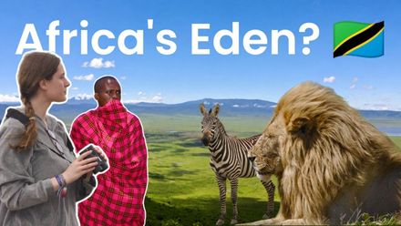 YouTube video about a wildlife safari in the Ngorongoro Crater, Tanzania. Also includes the wider Ngorongoro Conservation area, Maasai and Hadzabe culture, Olduvai Gorge and the Ndutu Plains.