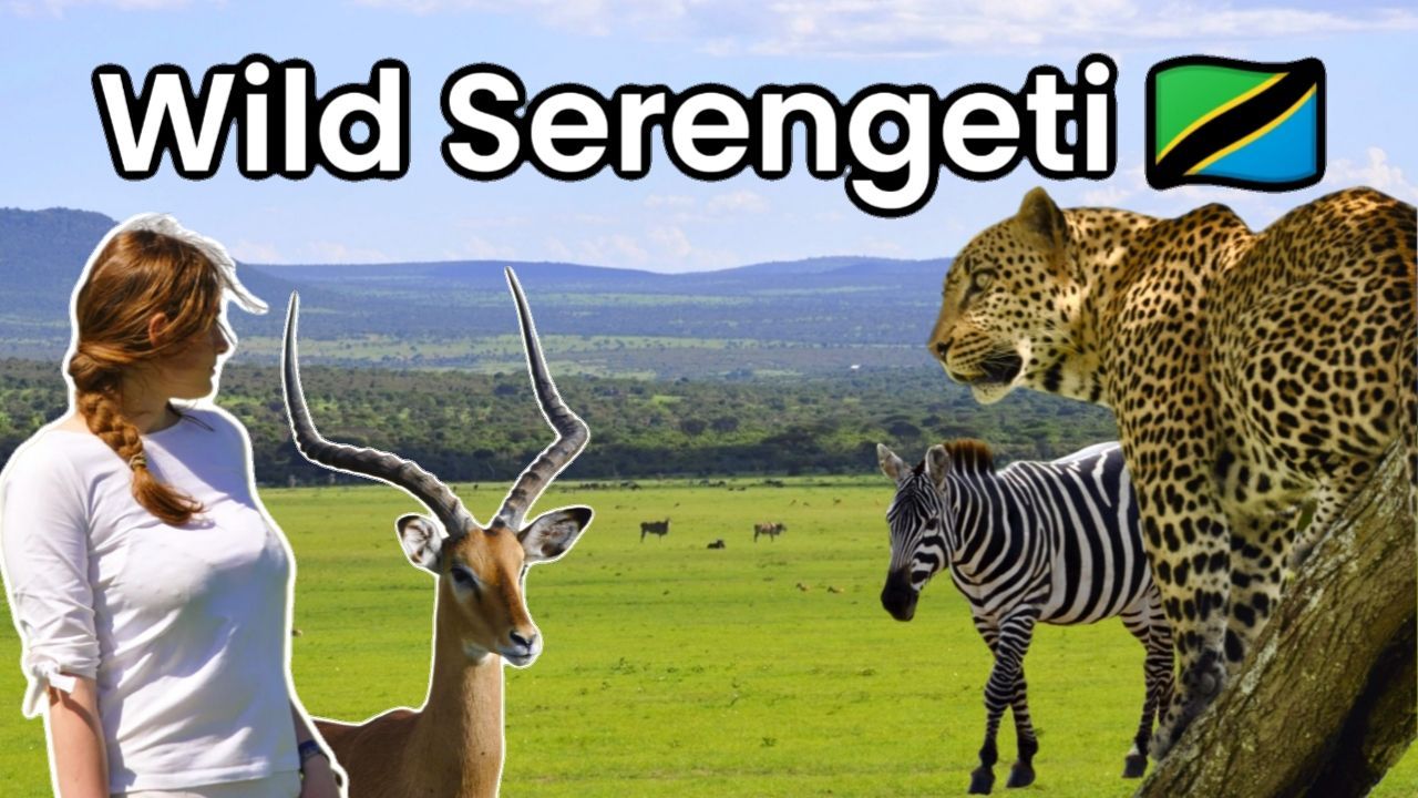 YouTube video about a Safari in Serengeti National Park, Tanzania