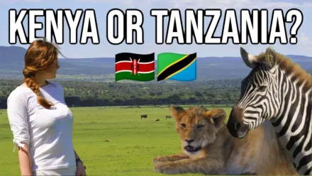 YouTube video to help people choose between doing a safari in Kenya or Tanzania