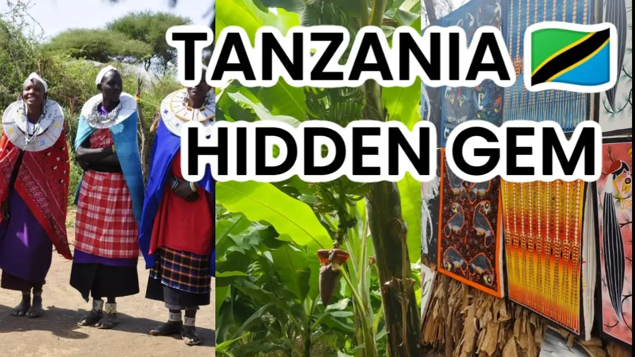 YouTube video about the Mto wa Mbu cultural tourism program in Tanzania including a visit to the banana and rice farms, a cultural visit to the Makonde Tribe, woodworking, and tasting local Tanzanian cuisine