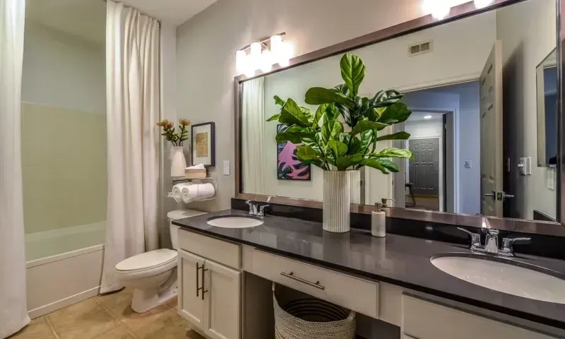 Bathroom with double vanity, large mirror, bathtub, and toilet.