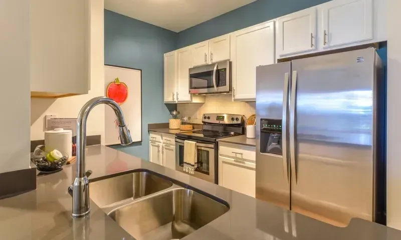 Modern kitchen with stainless steel appliances, double sink, and stylish faucet.