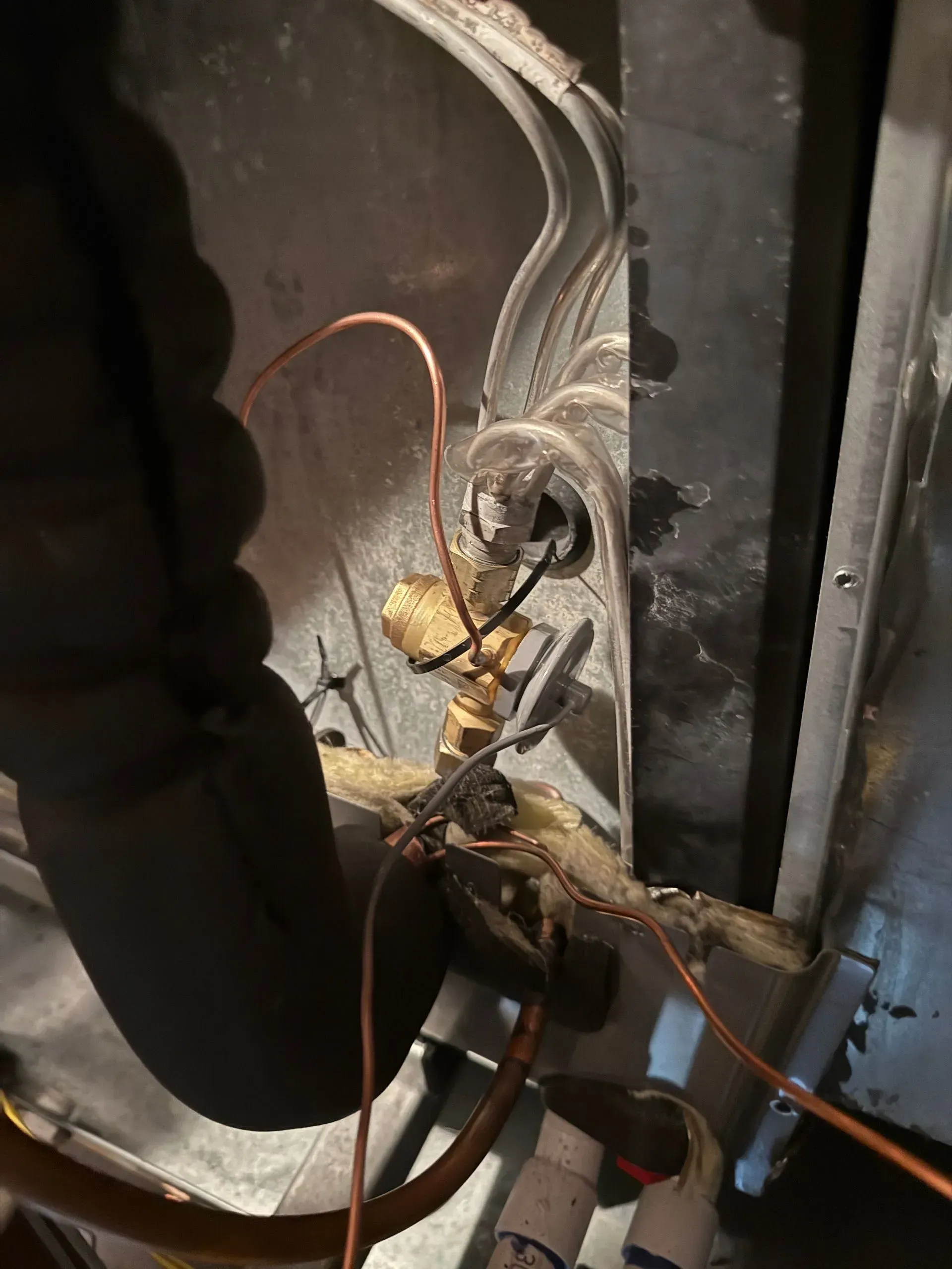 Close-up of tangled electrical wires and components inside an open metal appliance or cabinet