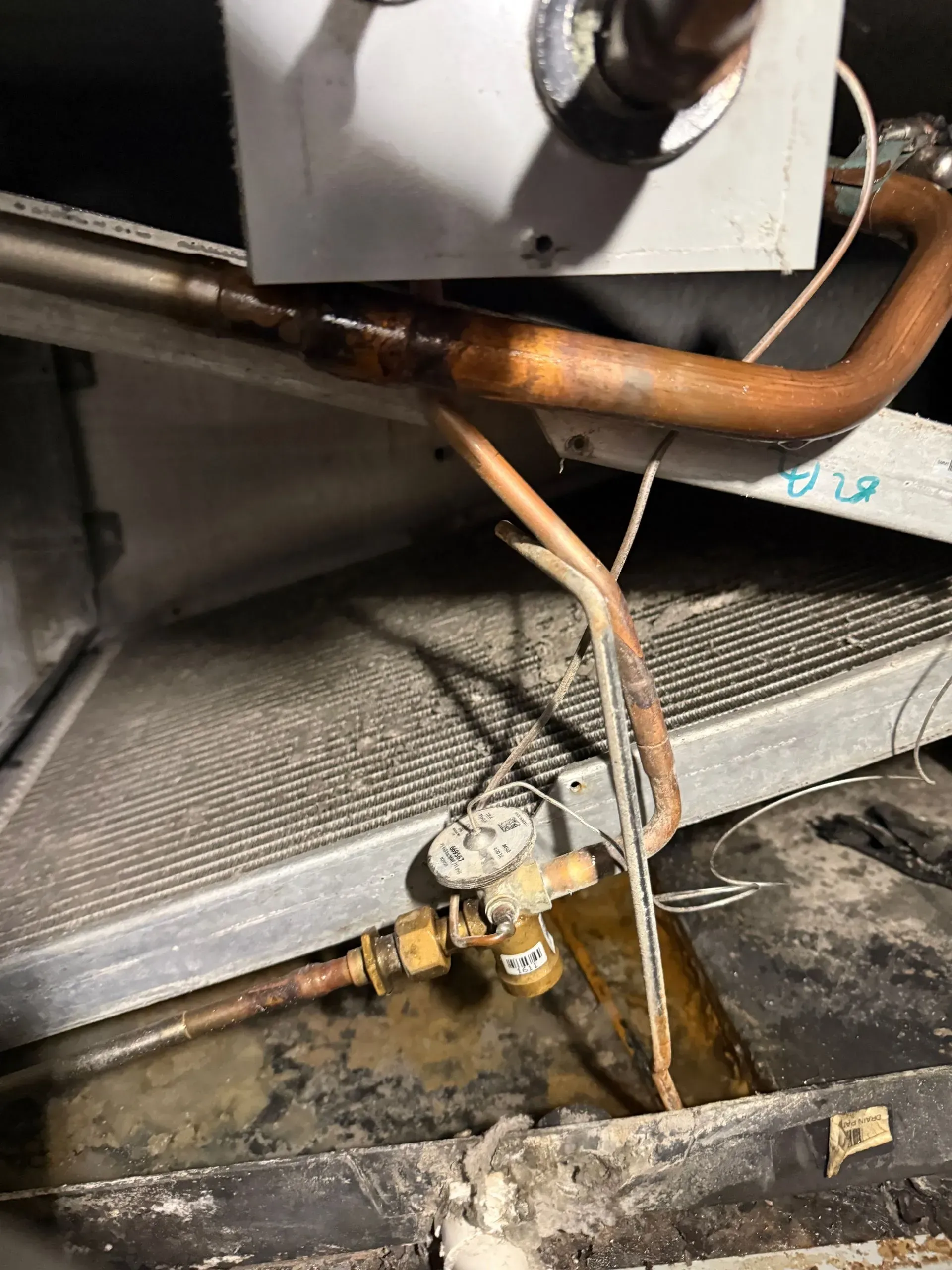 Copper pipes and a leaking valve assembly above a metal drain tray, with water dripping below.