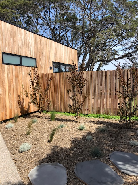 Modern house patio with wood siding, bamboo fence, gravel yard, and stepping stones under trees