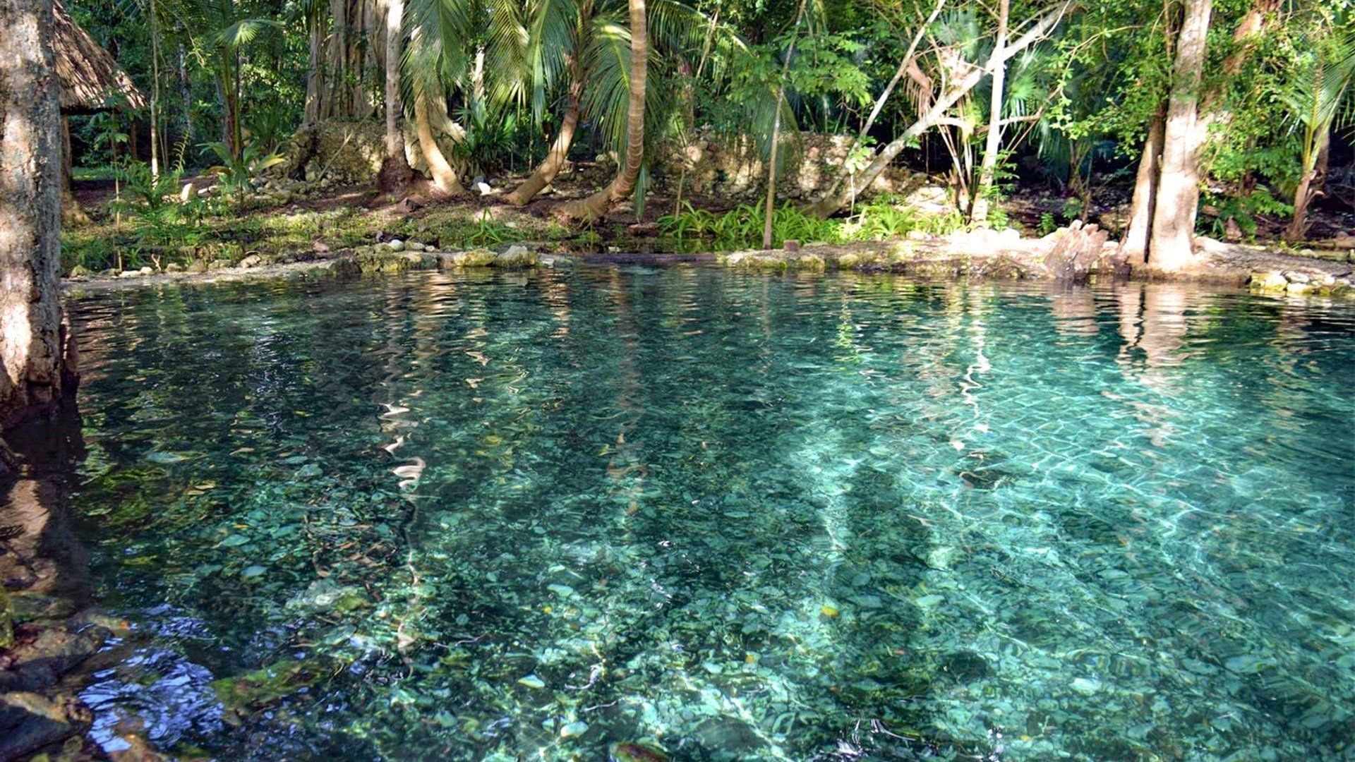 Ojo de agua 