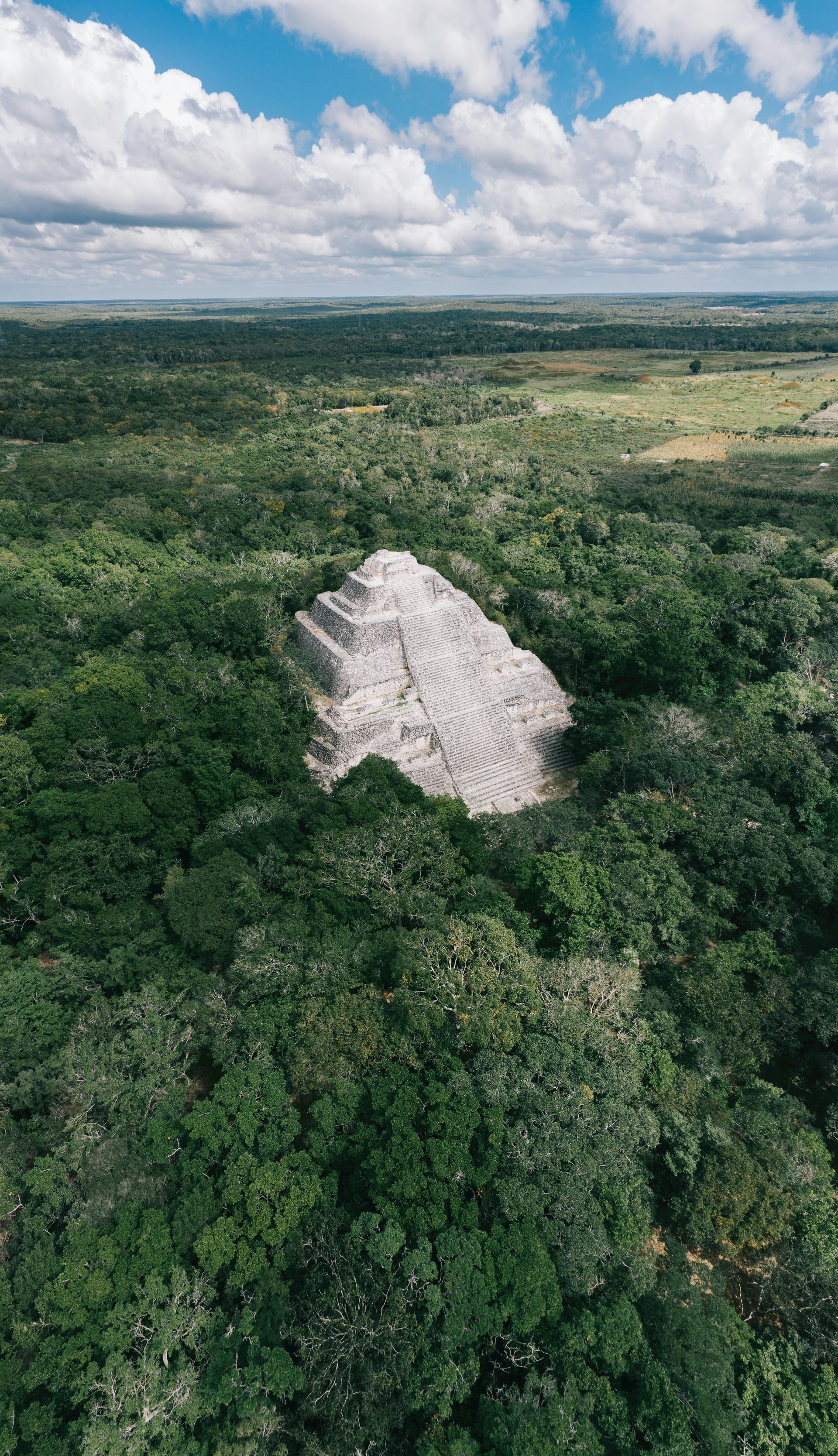 Calakmul