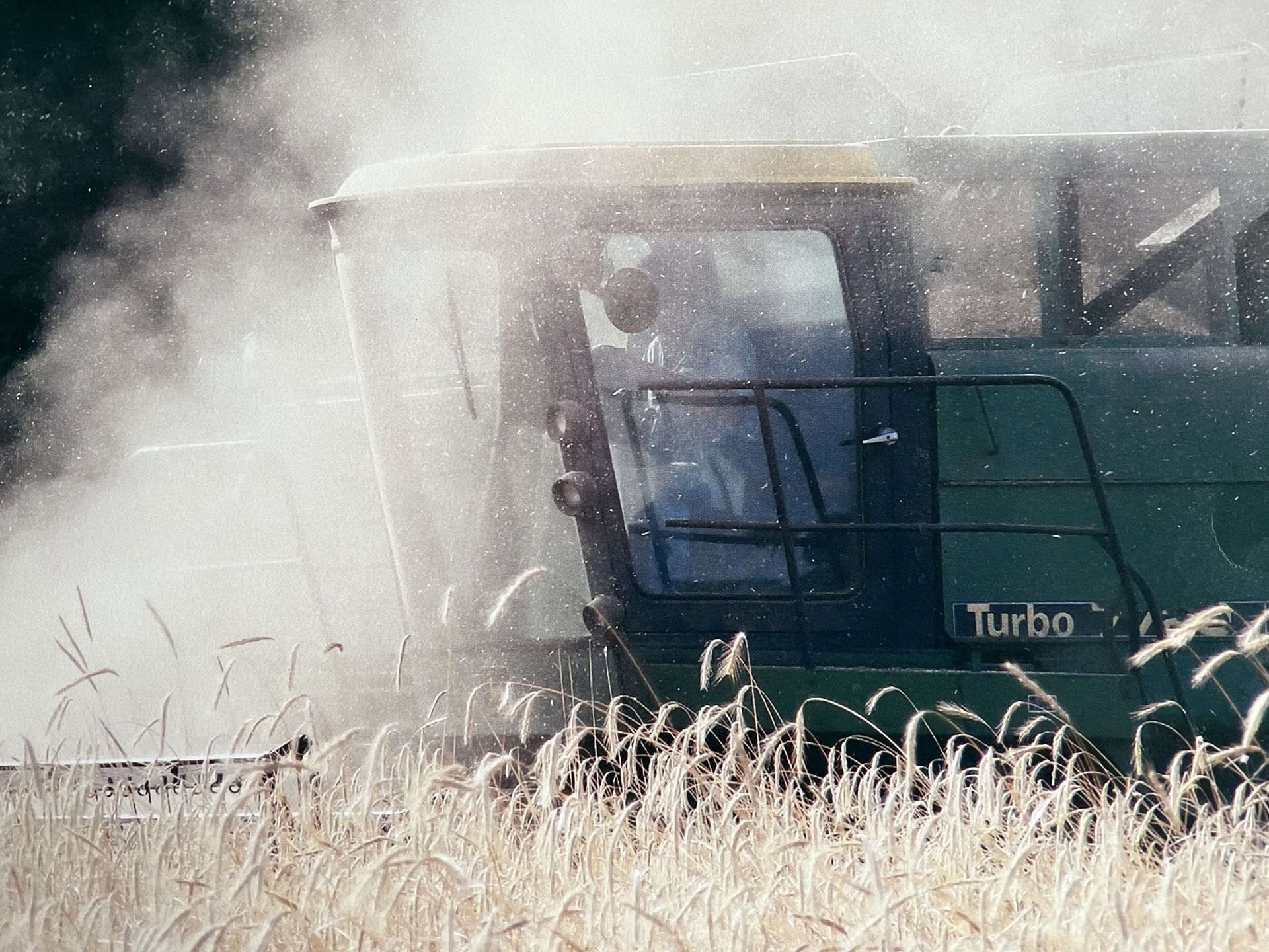 Green combine harvesting wheat field, kicking up dust.
