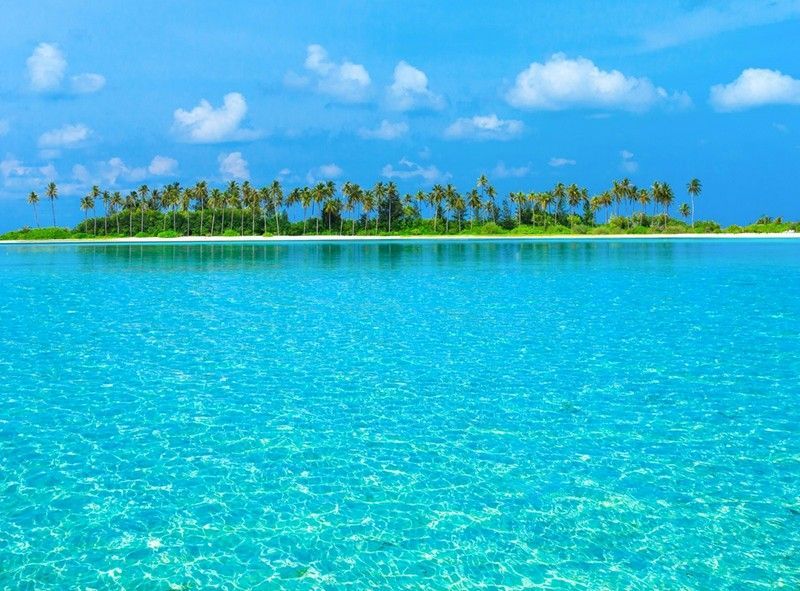 Turquoise lagoon with a small palm-covered island under a bright blue sky
