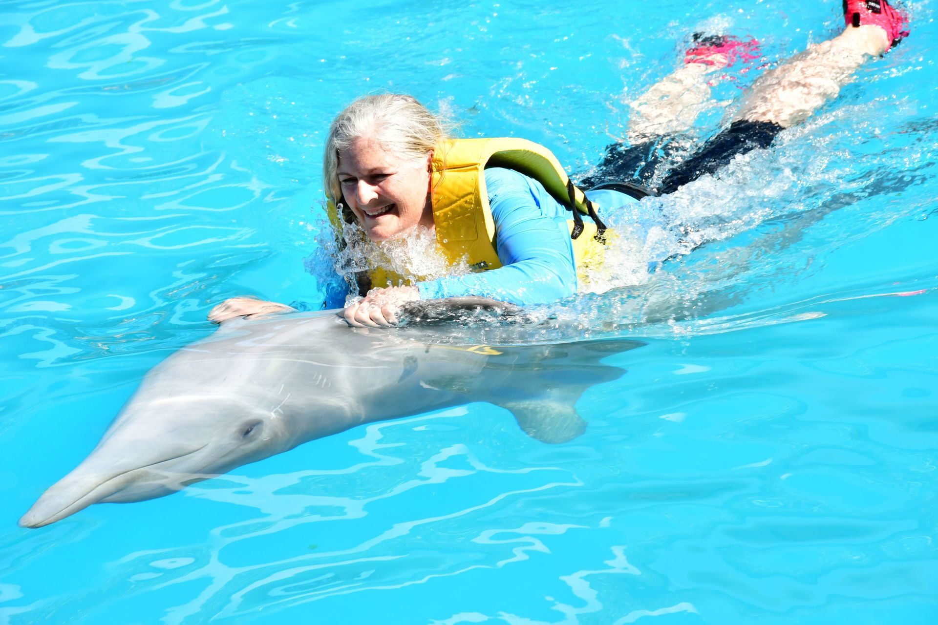Woman swimming with a dolphin in bright blue water