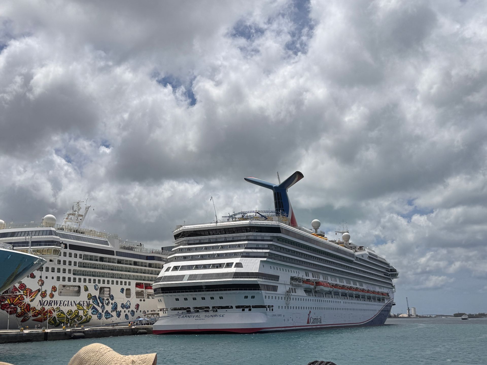 Two cruise ships docked in a harbor under a cloudy sky