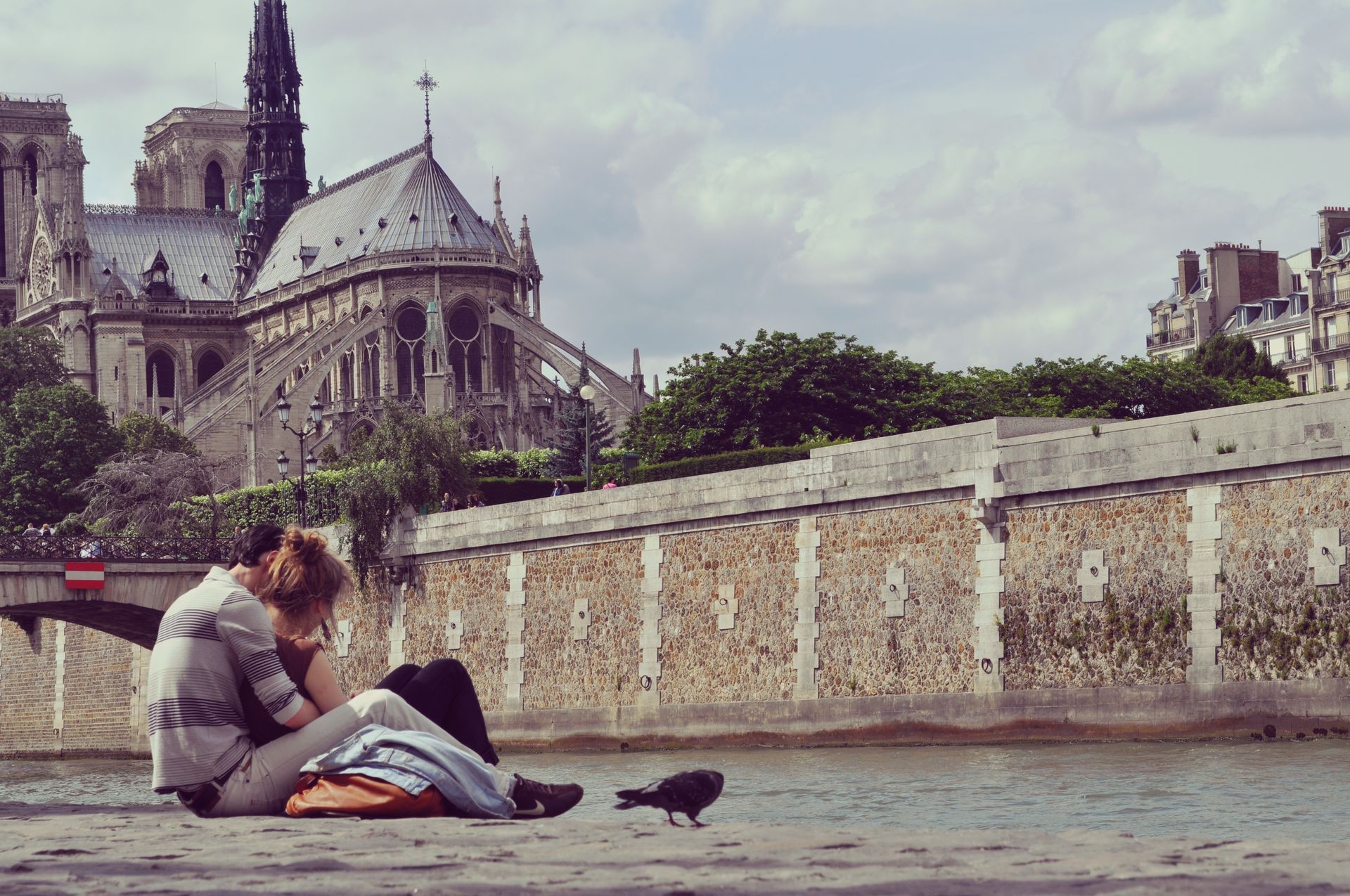 Person sitting beside a cat on a riverside near Notre-Dame Cathedral, with pigeons in the foreground.
