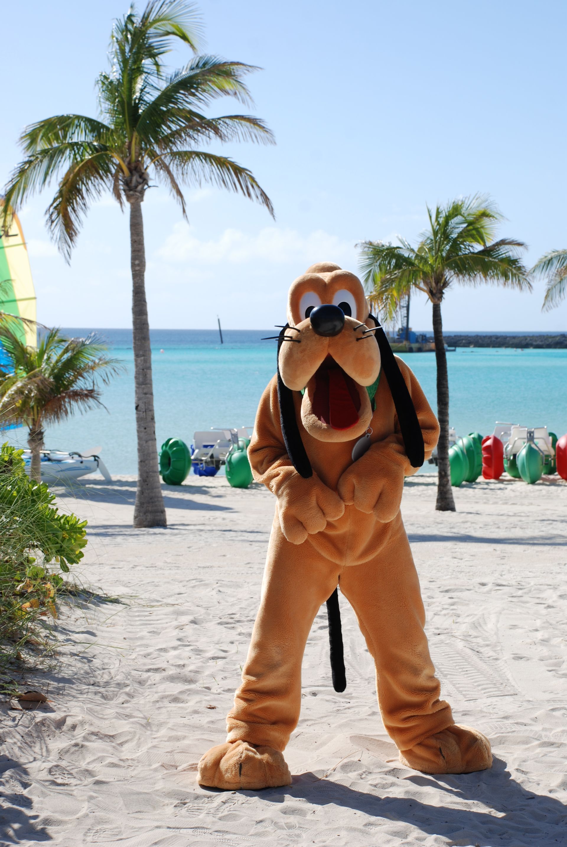 Pluto mascot standing on a sunny beach with palm trees and turquoise water in the background