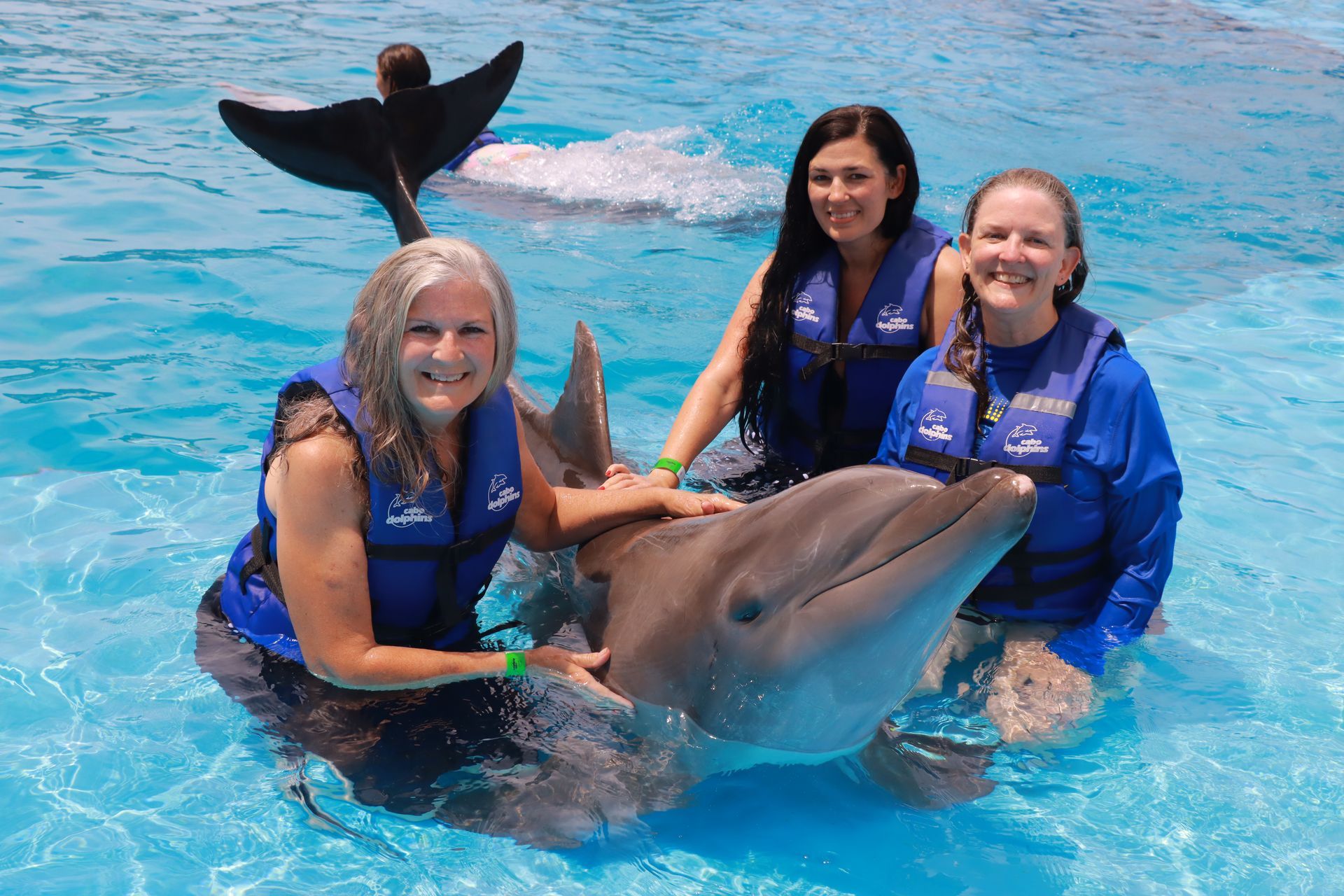 Three people in blue vests pose with a dolphin in bright blue water, with a dolphin tail in the background
