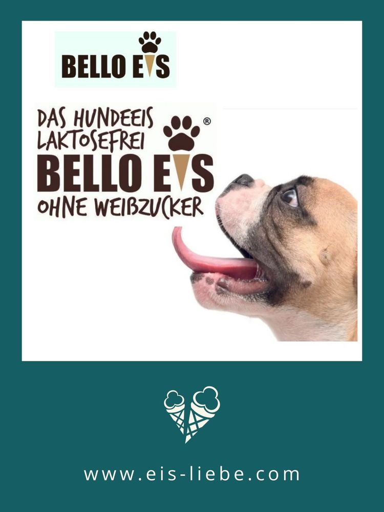 Hund mit Bello-Eis, vegan, ohne Zucker.