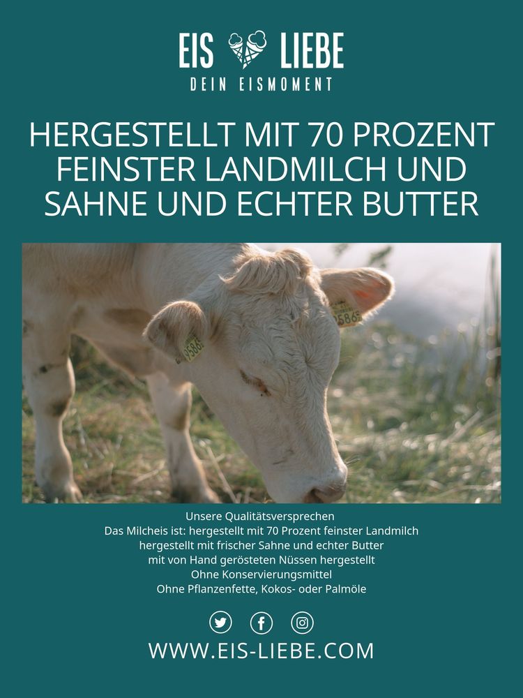 Poster mit Kuh und Beschreibung der Milcheissorten.