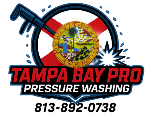 Tampa Bay Pro Pressure Washing LLC logo