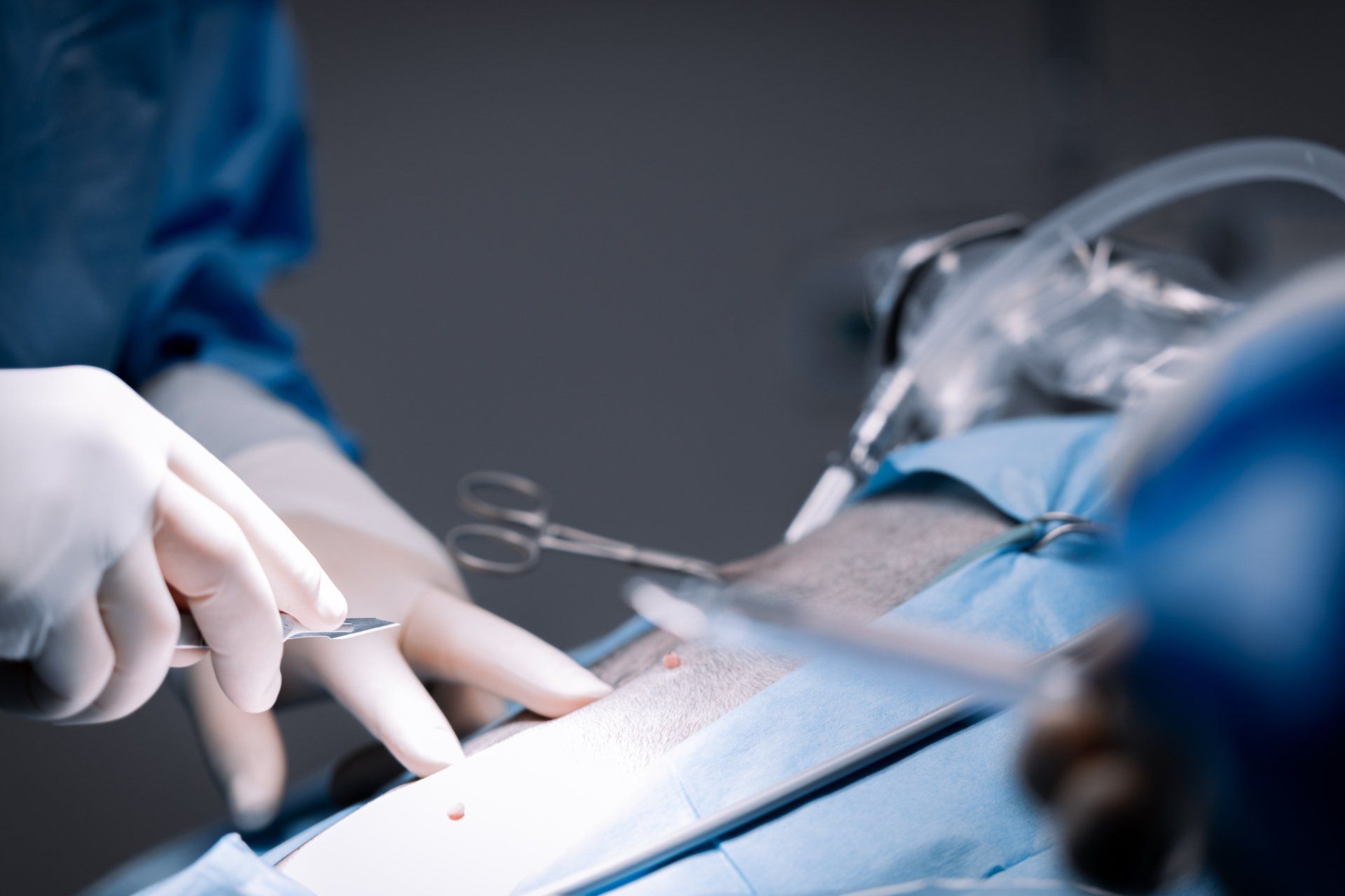 endoskopische Kastration