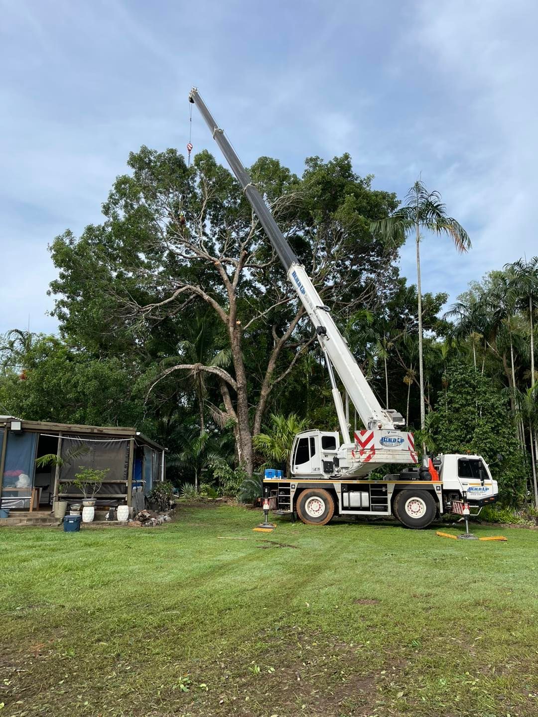 Panoramic View Of Workers And Equipments — Tree Services In Palmerston, NT