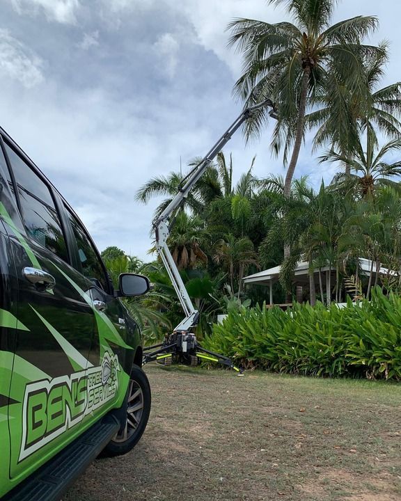 Crane With Camera Installed — Tree Services In Palmerston, NT