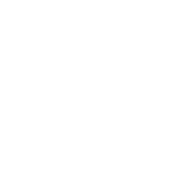 Level Yoga White Logo