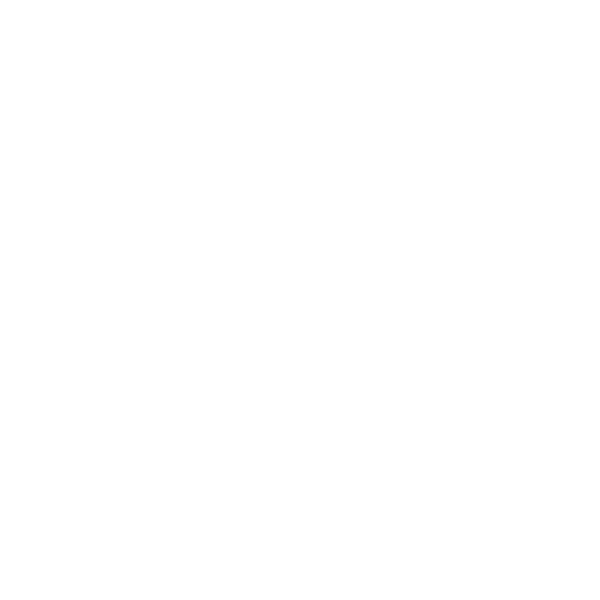 Schiermyer White Logo