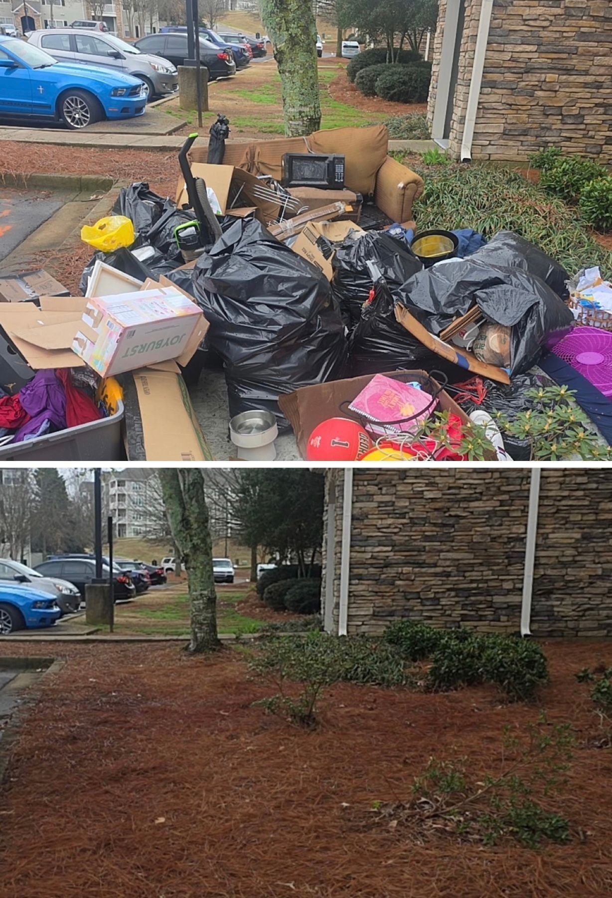 Pile of trash bags and boxes in a yard; below, the area is cleared with only pine straw and shrubs.