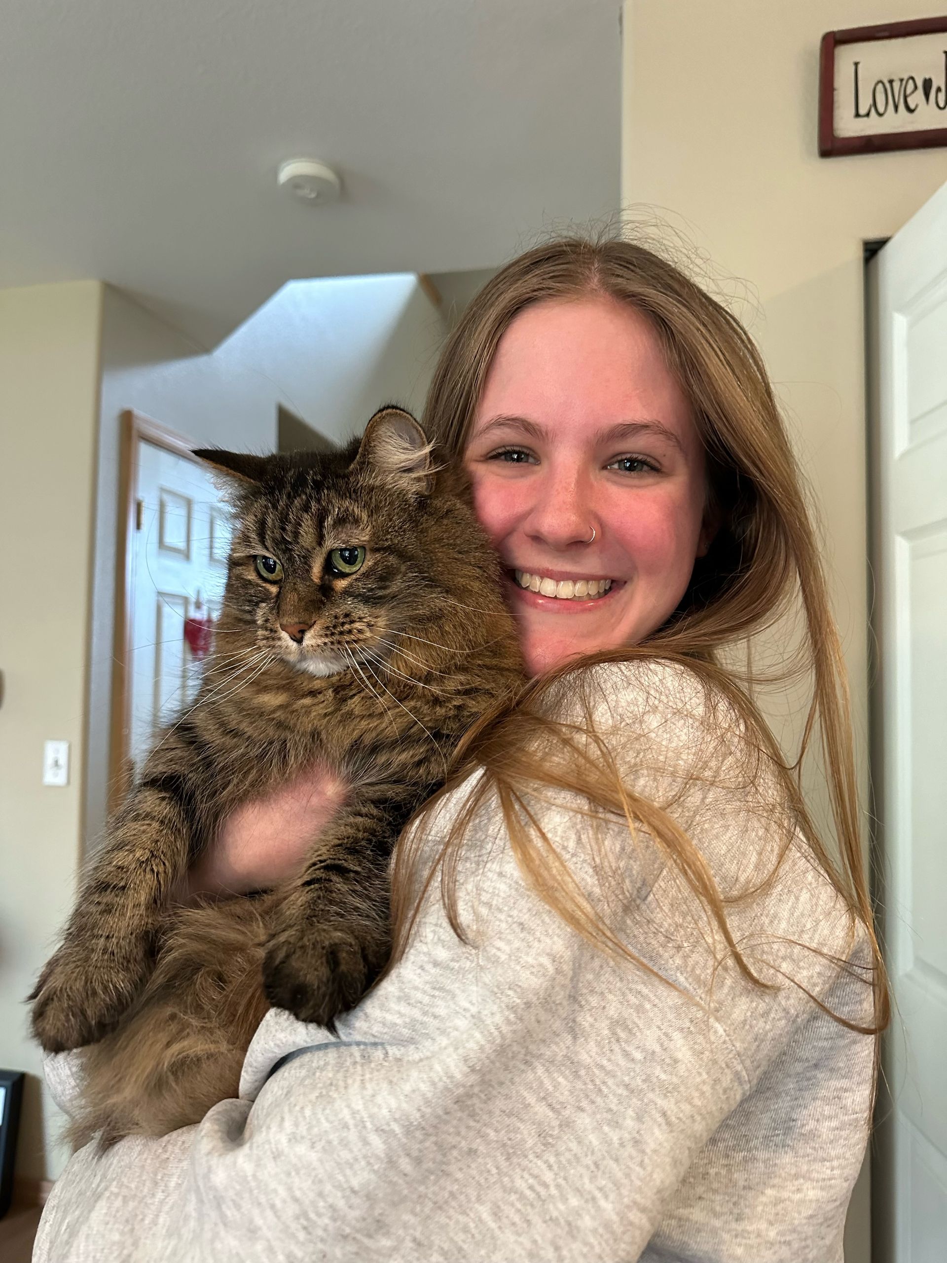 dog-exercise-lake-tapps-wa-3-dog-splash