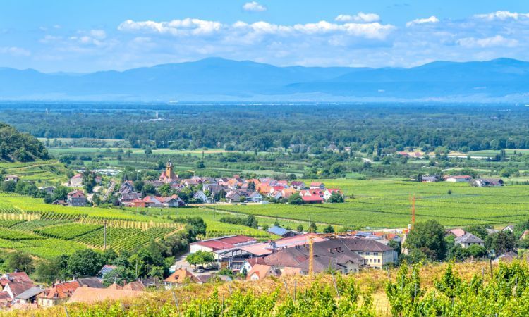 blick auf den texaspass bei endingen am kaiserstuhl, keines dorf umgeben von grün und weinanbau