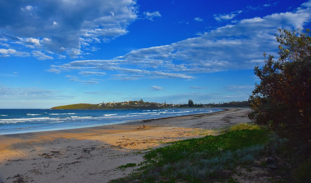A Beach With a Blue Sky and Clouds and a Tree in the Foreground — Gardners Yamba Skip Bin Hire in Woolgoolga, NSW