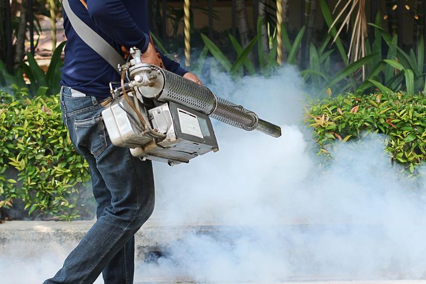 Worker spraying pesticide in a garden, creating a cloud of white mist.