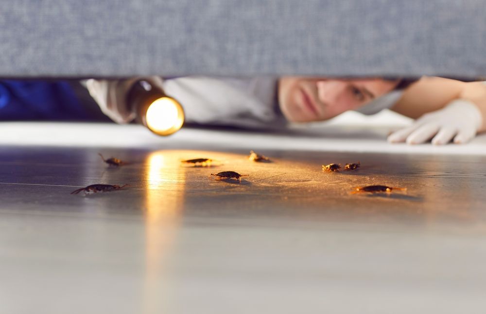 Person using a flashlight to inspect marks on a tabletop surface