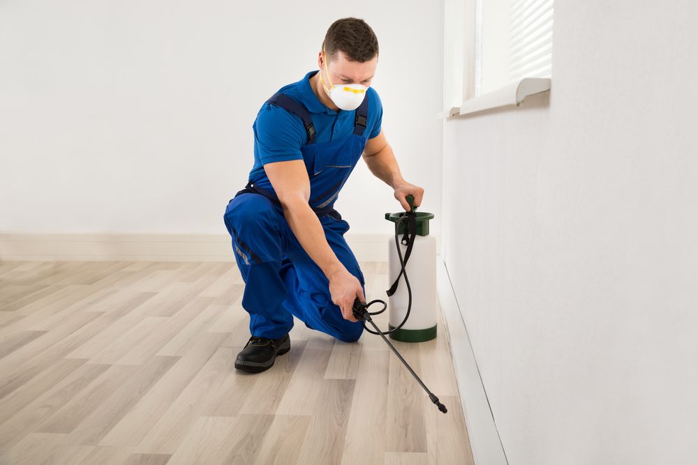 Technician in blue uniform spraying pesticide along a wall in a bright room